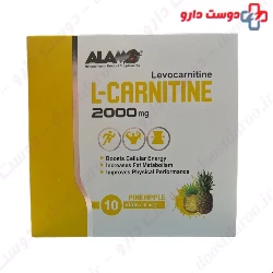 Alamo L Carnitine 2000 Mg 10 Vials