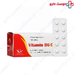 Simorgh Darou Vitamin B6 100 Tablets