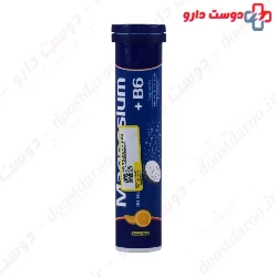 Magnesium Plus Vitamin B6 Effervescent Tablets Arya Daru