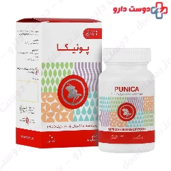 Punica Adib Exir