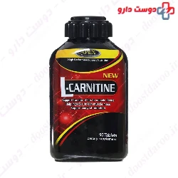 Apex L Carnitine 90