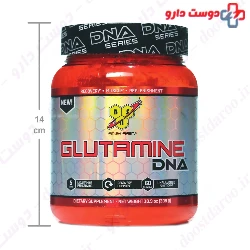 Glutamine DNA BSN