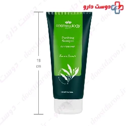 Purifying Shampoo For Oily Hair And Scalp Cosmecology