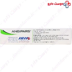 Angipars Capsules Nano Hayat Darou