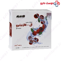 Alamo L Carnitine 2000 Mg 10 Vials