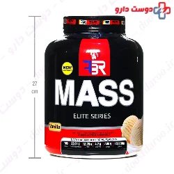 Mass 2600 g FBR