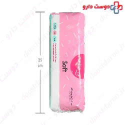 Panberes Sanitary Napkin With Wings Large