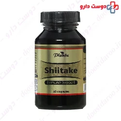 Shiitake Planta