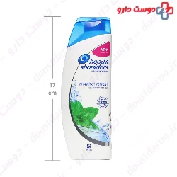 Anti Dandruff Cool Menthol Shampoo Head and Shoulders