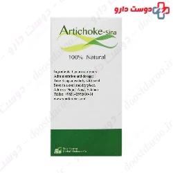 Artichoke Sina Sinafaravar