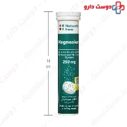 Natures Plenty Magnesium 250 mg 20 Effervescent Tablets