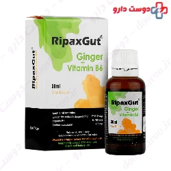 Ripax Gut Kharazmi