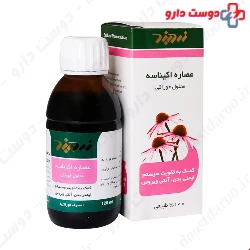 Zardband Echinacea ZB Herbal Oral Liquid 120 ml