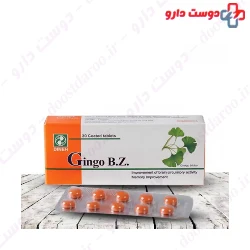Gingo B Z Dineh 30 Tablet