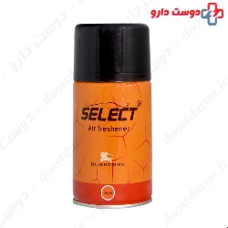Select Air Freshener Spray, Cargo Model Burberry 260 Ml
