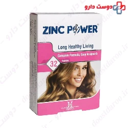 Holistica Zinc Power Capsule 32 tablet