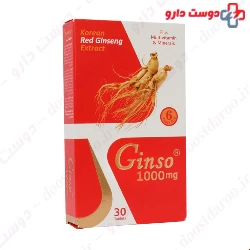 Vitsky Ginso 1000 Mg 30 Tablets