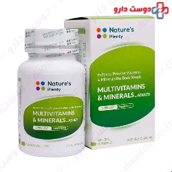 Natures Plenty Multivitamin and Mineral 60 capsule