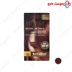 Atousa Royal Hair Color Kit