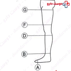 Teb & Sanat Compression Stockings BF model  Code 71000
