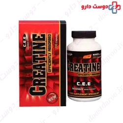 Creatine Ethyl Ester Capsule PNC