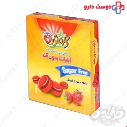 Kamvar Sweet but Sugar free 110gr