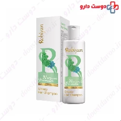 Robiyan Greasy Hair Shampoo 250 Ml