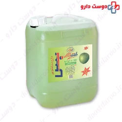 Bath apple scented toilet liquid 10 liter