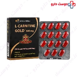 L Carnitine Gold 500 mg Tablet MultiNormal