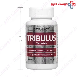 Tribulus Dayan Hot Dayan pharma