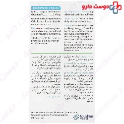 Fast Joint Plus Koushan Pharmed
