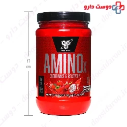 Amino X BSN