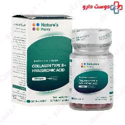 Collagen Type II And Hyaluronic Acid Natures Plenty