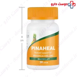 Pinaheal Amitis Nik Darou