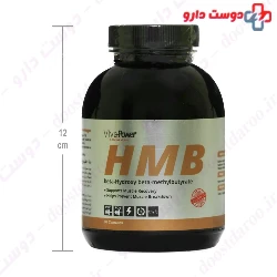Viva Power HMB 90 Capsules