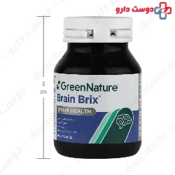 Brain Brix Green Nature