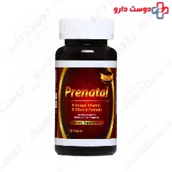Dana Multi Prenatal 30 Softgel