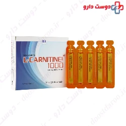 BSK L Carnitine BSK 1000 mg
