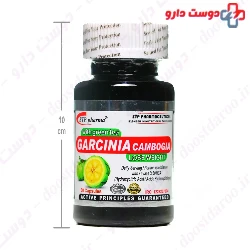 STP Pharma Garcinia Cambogia 30 Capsule