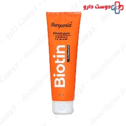 Shampoo Multivitamin And Anti Pollution Oily hair Bergamia