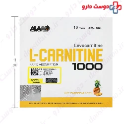 Alamo L Carnitine 1000