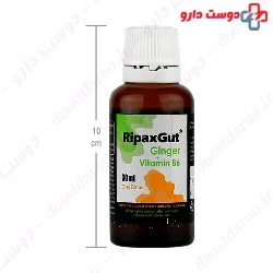 Ripax Gut Kharazmi