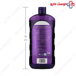 Volume Injection Extreme Shampoo For Greasy Hair Dilmon