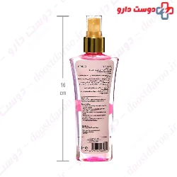 Rose Water Toner and Mist Rabee