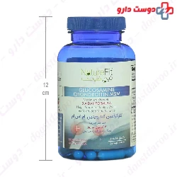 Nature Fit Glucosamine Chondroitin MSM ۶۰ Cap