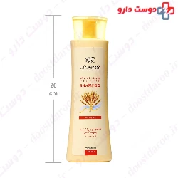 Cinere Wheat Germ Protein Shampoo For Daily Care 250 Ml