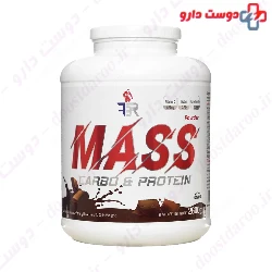 Mass 2600 g FBR
