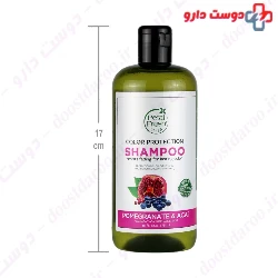 Petal Fresh Color Protection Shampoo 475 ml