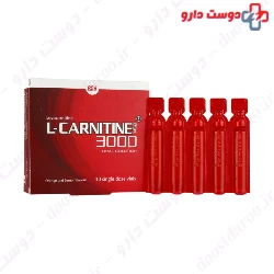 BSK L Carnitine BSK 3000