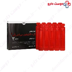 BSK L Carnitine BSK 2000